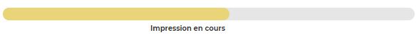 impression_en_cours.JPG