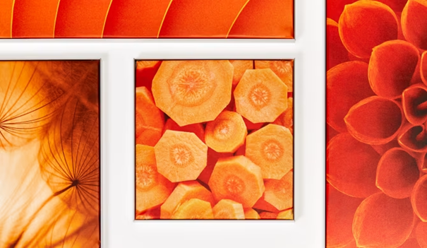 Image22.png