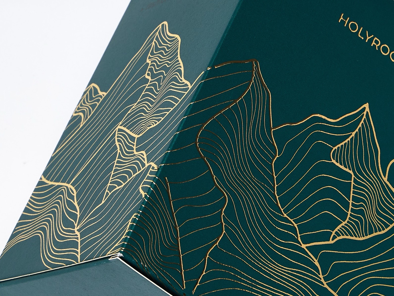 Immagine che contiene arte, libro, design

Descrizione generata automaticamente, Immagine